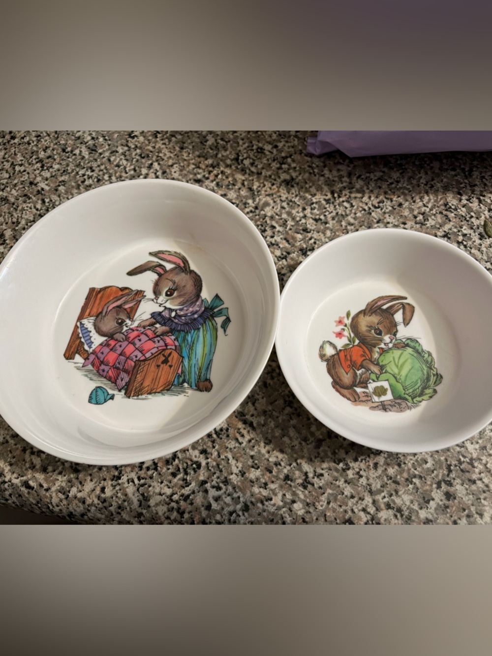 Peter Rabbit White Melamine Illustration Bowls with Teal Pink Green Accents